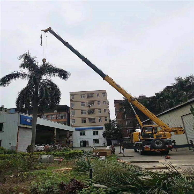 三江吊车吊大树几种方法